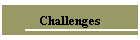 Challenges